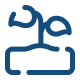 Outline of plant